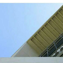 threefallingleaves avatar