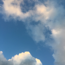 threeflowerss avatar