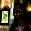 threeheartsandthreeleijons avatar