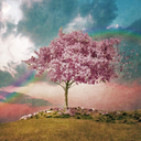 threelittlestuds-blog avatar