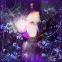 threemagpies-dreamingbird avatar