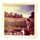 threeteabagsinanenvelope avatar