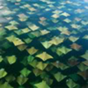 threetimestrue avatar