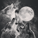 threewolfmoony avatar