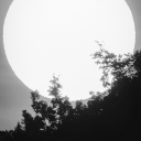 threewordusername avatar