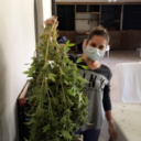 thrillofthechasee avatar