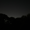 throatstrecther avatar