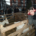 throughskinandbone avatar