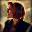 throughtimeandstarlight avatar