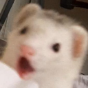 throwaway-key avatar