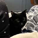 throwawayanon89 avatar