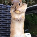 throwawayconfessions5645 avatar