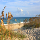 throwbacksmiley avatar