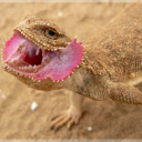 throwingawayhailstones avatar