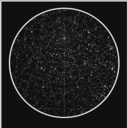 throwmeto-thewolves avatar