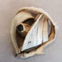 thrown-banana-aesthetic avatar