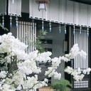 throwoffthethoughts avatar