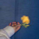 thuc-khuya-day-som avatar