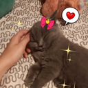 thunbonpersonal avatar