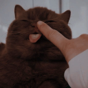 thunder-point avatar