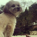 thunder1199-blog avatar