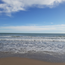 thunderbirds765 avatar