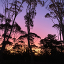 thunderdownthehill avatar