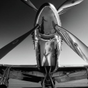 thunderguppy200 avatar