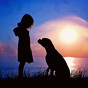 thunderlullabye avatar