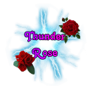 thunderrosevt avatar