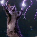 thunderstorm-cat avatar