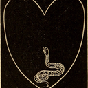 thunderstourms avatar