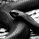 thursday-child01 avatar