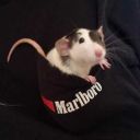 thursdayfrozeover avatar