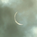 thusjuniperus avatar