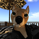 thylacineblog avatar