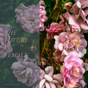 thyme-and-roses avatar