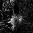 ti-bi-trazila-kise avatar