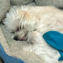 tianablackwell3000 avatar