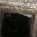 ticercoancheneisogni avatar