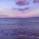 ticerconeisorrisi-deglialtri avatar