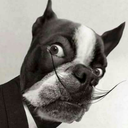 tickertapeblog avatar