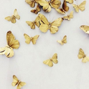 tickettobarcelona-blog avatar