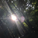 tickleshitsmcgee avatar