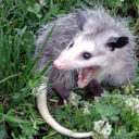 tickletickle89 avatar