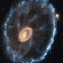 ticklingcatalyst avatar