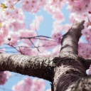 ticklish-little-switchh avatar