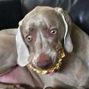 tictacclickclack avatar