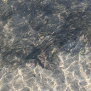 tidal-council-system avatar