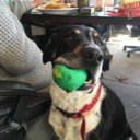 tie-your-scarf-on-tight avatar